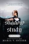 shadow study